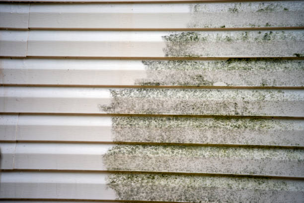 Best Furniture Removal  in Webb City, MO