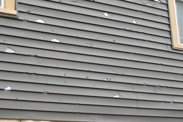Best Same-Day Junk Removal Services  in Webb City, MO