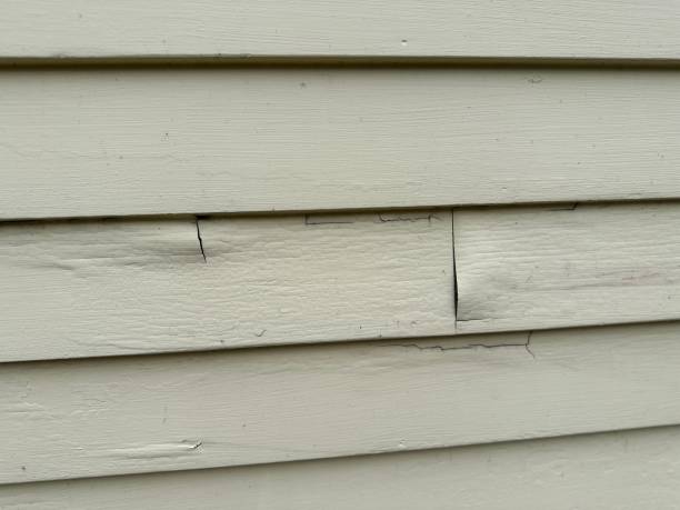 Best Demolition Debris Removal  in Webb City, MO